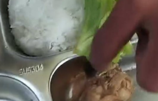 Viral Terdapat Belatung di Makan Berizi Gratis