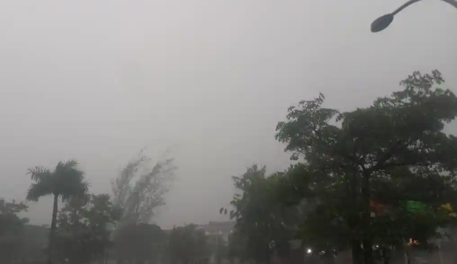 BMKG: Angin Kencang Guyur Sulawesi Tenggara